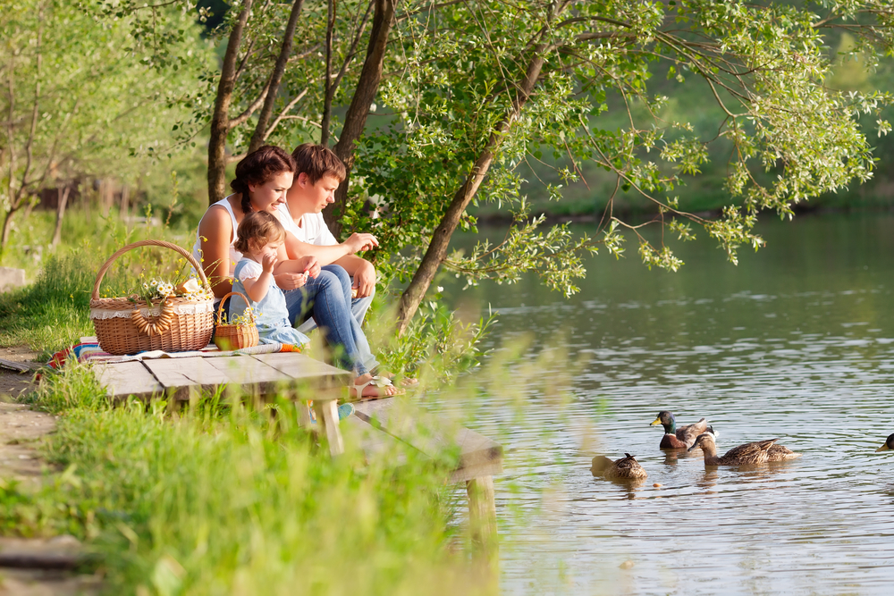 A family of three on a picnic near the water feeding ducks. | Picnics in Conway, AR.