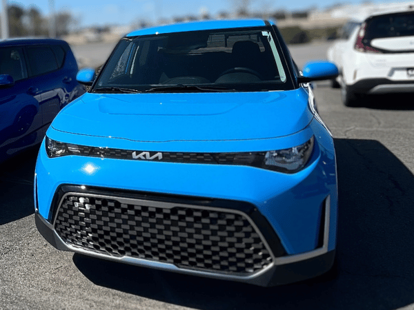 Blue Soul available to lease in Conway, AR