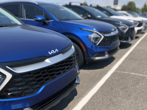 Blue Sportages at Crain Kia of Conway