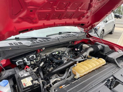 2019 Ford F-150 XL - STX APPEARANCE PKG / 26 MPG HWY
