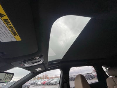 2026 Kia Sorento X-Line SX Prestige - Olive Brown Leather Pkg