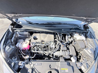 2021 Toyota Sienna XLE 7 Passenger