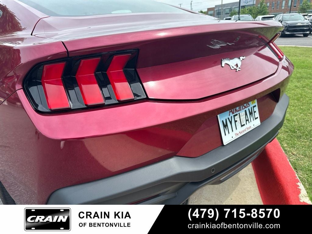2025 Ford Mustang EcoBoost - CLEAN CARFAX / ONE OWNER