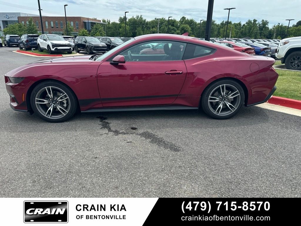 2025 Ford Mustang EcoBoost - CLEAN CARFAX / ONE OWNER