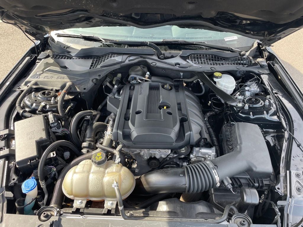 2020 Ford Mustang EcoBoost