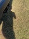2020 RAM 2500 Power Wagon Towing Technology Group Pkg/360 Camera