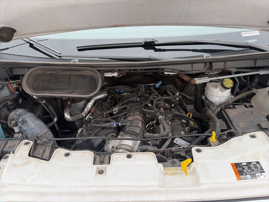 2024 Ford Transit-350 XLT