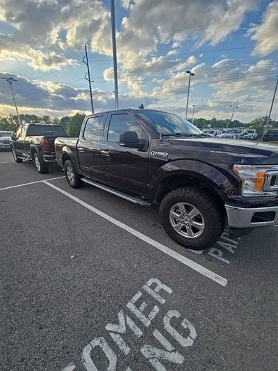 2019 Ford F-150 XL